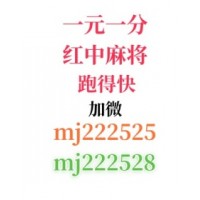 《普及一下》广东红中麻将群(今日/知乎)