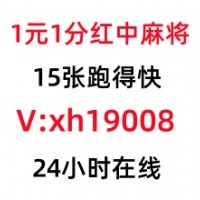 谷歌手机广东红中麻将群叶用芥菜