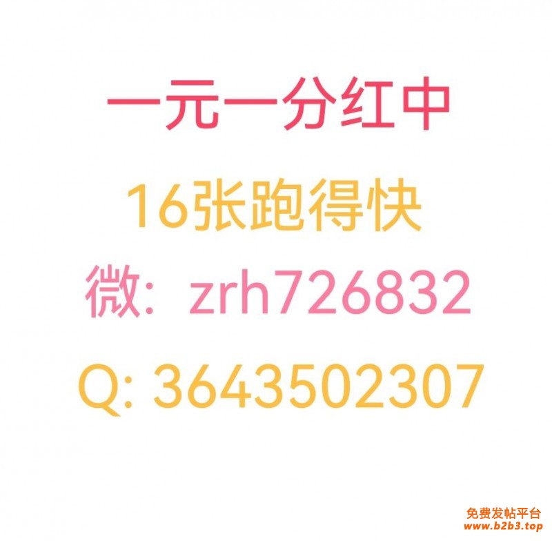 QQ图片20240913204300