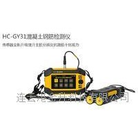 通化远程混凝土钢筋检测仪HC-GY31