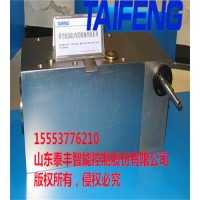 厂家直销泰丰液压WC67Y-200DL-00折弯机油缸