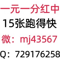 （秒入懂）24小时一元一分红中麻将秒入