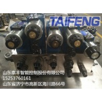 山东泰丰智能供应160T折弯机用插装阀TZW-H6C2