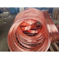 重庆铜包钢圆线制造~津德环保公司订做铜包钢圆线