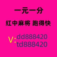 全网教学红中麻将1元1分群谁有