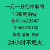 【桃花盛开】一元一分微信红中麻将(哔哩/哔哩)