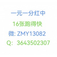 无押金一元一分红中麻将