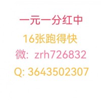 无押金一元一分红中麻将