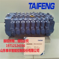 泰丰TRM20E-BSE12-04-XKJX-01多路阀微型挖机适用