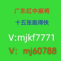 鹤岗怎么加入  1元一分  广东红中麻将群跑得快群