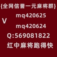 攀上巅峰红中麻将一元一分免押群24小时不熄火