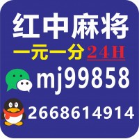 最专业的一元一分红中正规麻将群@2024已更新信誉保证