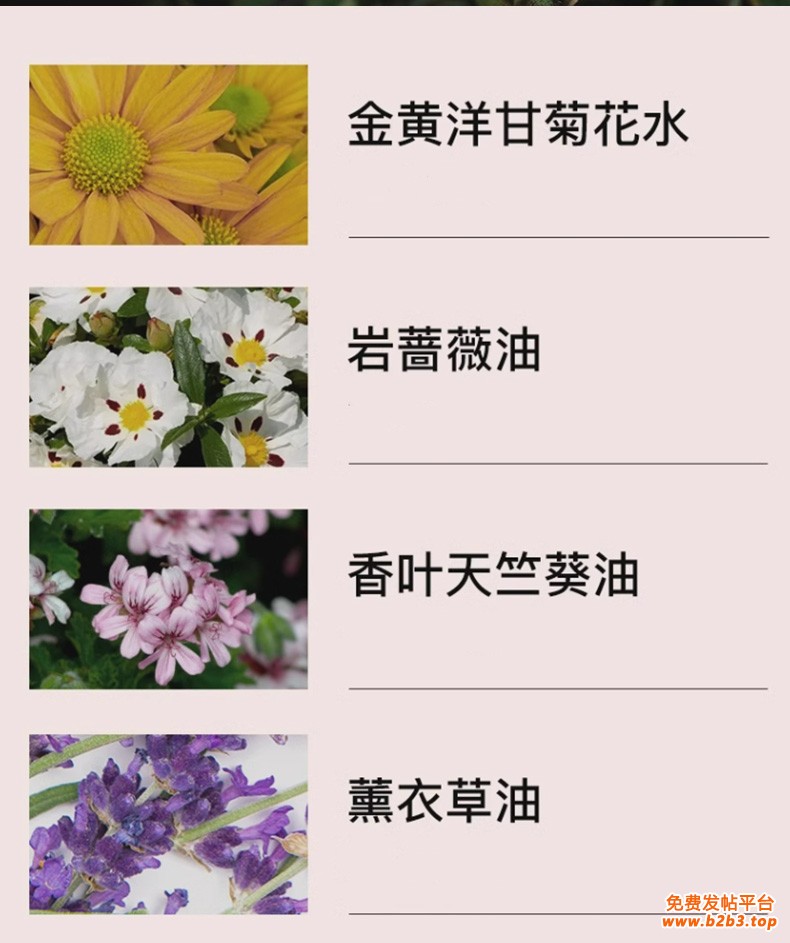 茶树洋甘菊洗液护理液_05