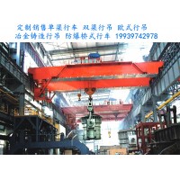 浙江湖州YZ铸造吊厂家可根据要求提供定制服务