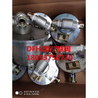 DFB20/7矿用本质安全型电动球阀