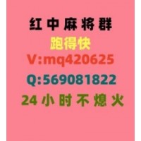 一呼百应一元一分麻将群哪里有2024已更