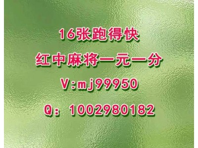 中场休息一元一分正规红中微信群	精彩绝伦