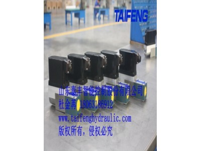 山东泰丰Z2FS6-40叠加式节流阀