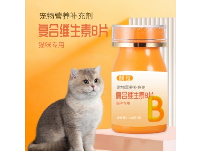 复合维生素B片宠物营养补充剂