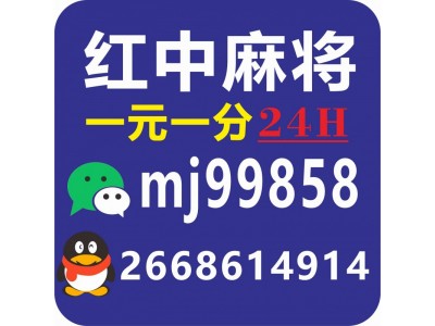 手机亲友圈一元一分红中正规麻将群@2024最新哪家强