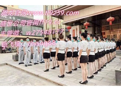 腾/龙公司会员账号注册网址www.tl9259.com