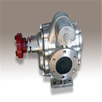 不锈钢齿轮泵小型油泵低噪音高扬程