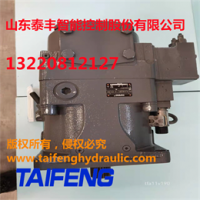 泰丰供应TFB1V80Y/1X-LRB2的柱塞泵