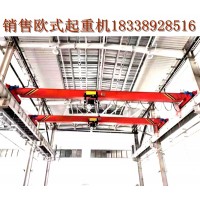 安徽淮北厂家欧式起重机的使用寿命