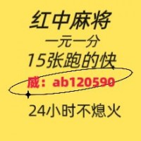 【桃花岛】正规广东红中麻将群（2024已更新）