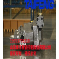 泰丰TFA7VO160LR/10-LRB2柱塞泵