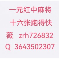 无押金一元一分红中麻将