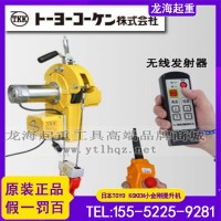 TOYO KOKEN DB N930链条电葫芦龙海起重