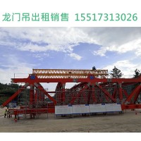 湖北十堰80t龙门吊可根据用途确定其型号