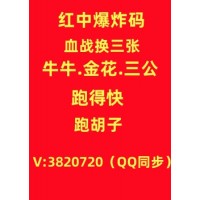 （带你了解）无押1元1分麻将群谁有（日常分享）