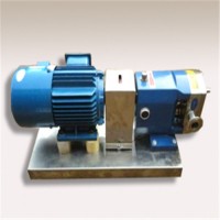 泰盛泵阀高粘度转子泵内环式保温泵输送齿轮泵