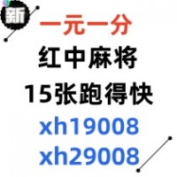 《围观》正规广东24小时在线一元麻将群（哔哩哔哩）