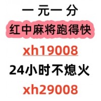 《必看科普》24小时一元一分红中跑得快群（今日/知乎）