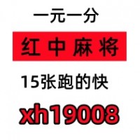 中国日报网24小时真人红中麻将群苦瓜