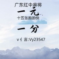 经济焦点手机广东红中麻将群2023已更