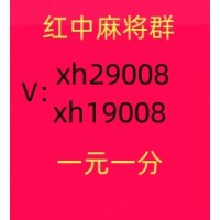白夜极光手机广东红中麻将群2024已更新