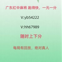 （2024） 一元一分手机广东红中麻将群慌心