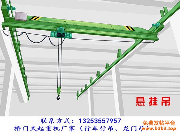 悬挂起重机 (17)